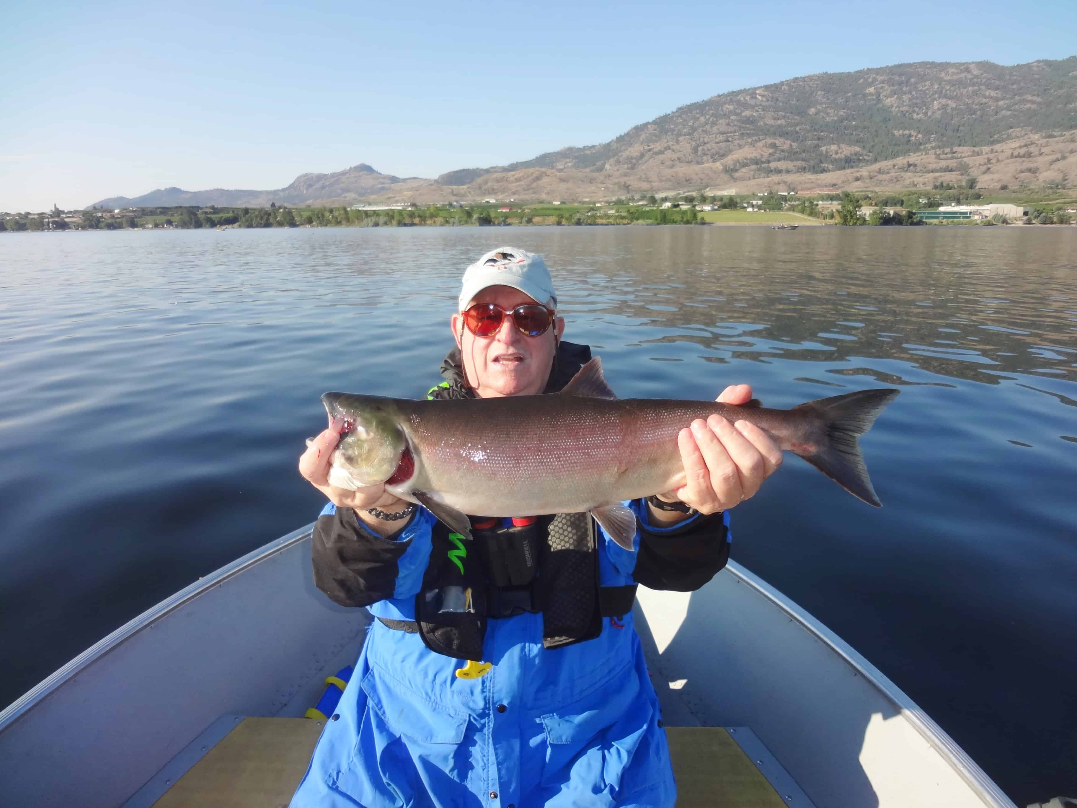 Osoyoos Sockeye Fishing August 2013 BC Fishn