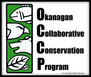 occp logo final copy2
