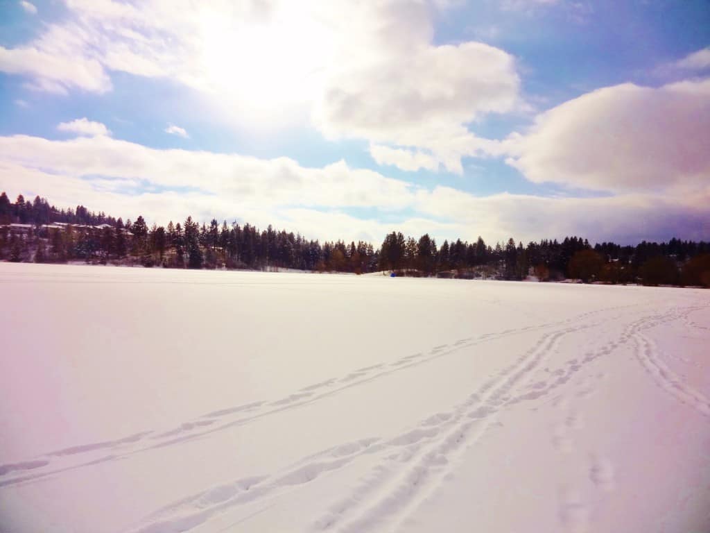 homes for sale shannon lake west kelowna