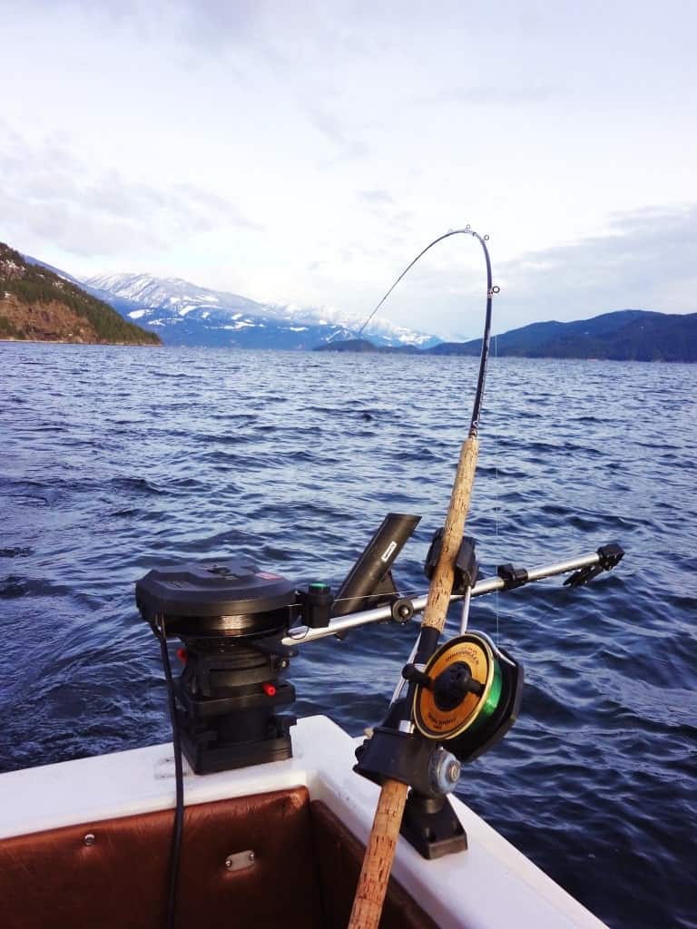 Fundamentals of Fishing with Plugs BC Fishn