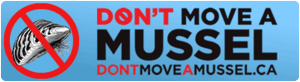 Dont' Move a Mussel