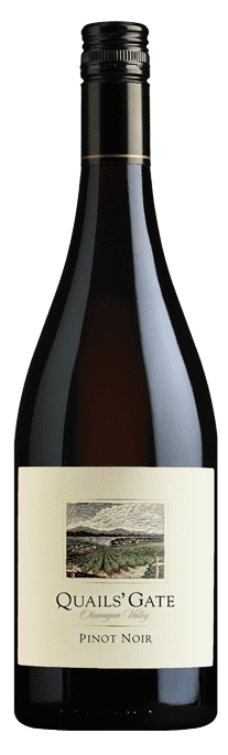 qgpinotnoir