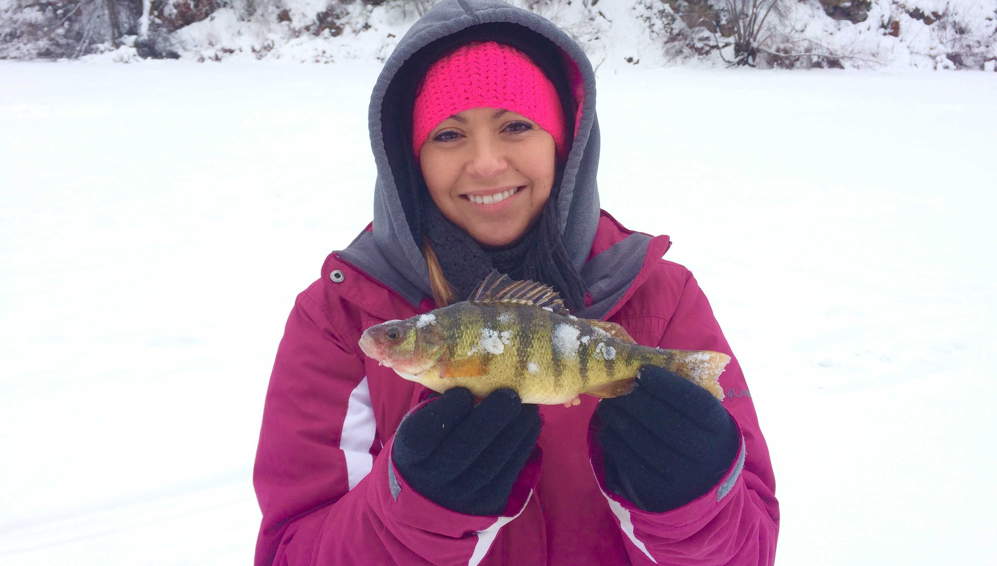 How to Locate Perch When Ice Fishing BC Fishn