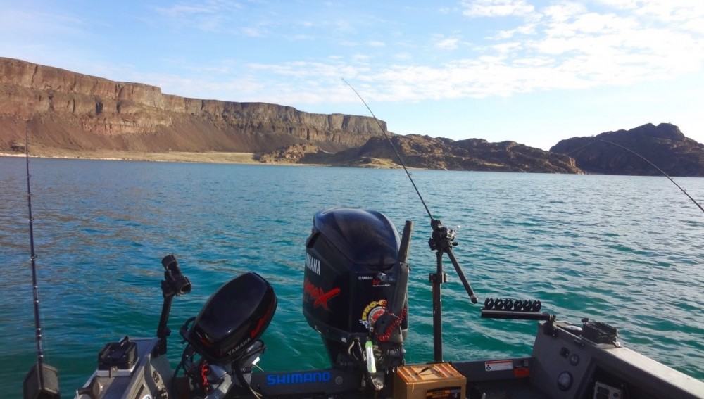 Walleye Fishing Banks Lake Washington BC Fishn