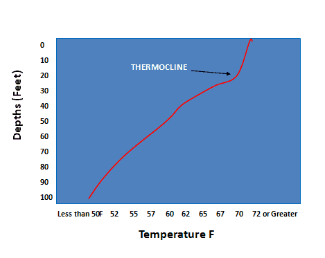 thermocline